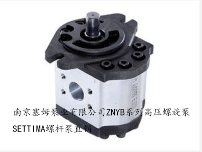 GR552C090CCF意大利SETTIMA进口高压泵ZNYB螺旋泵
